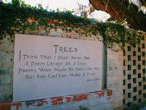 Photo of the Week- Typography