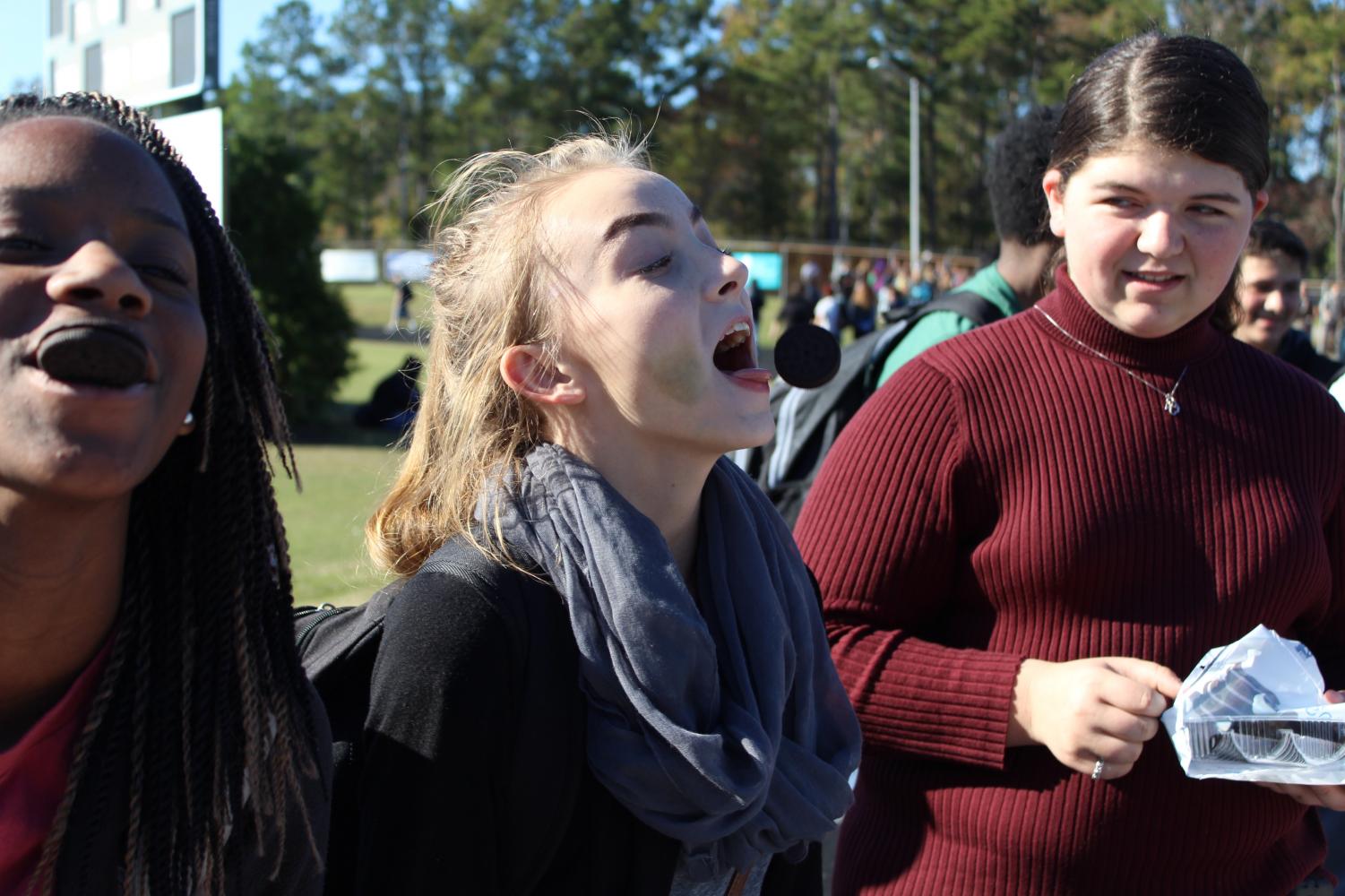 Fall Festival Festivities