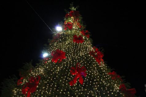 Lights in Calabash