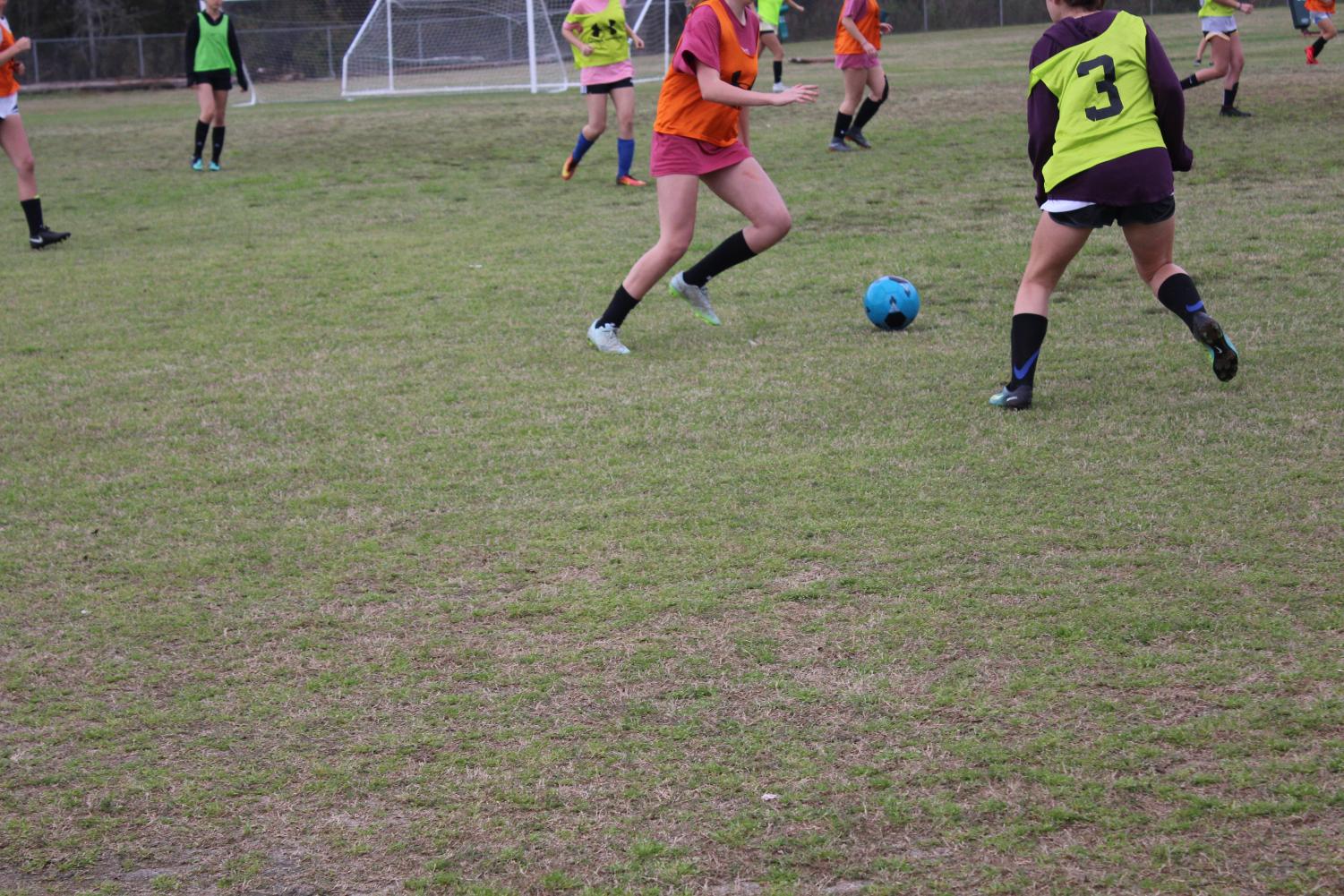 Women's Soccer Preview