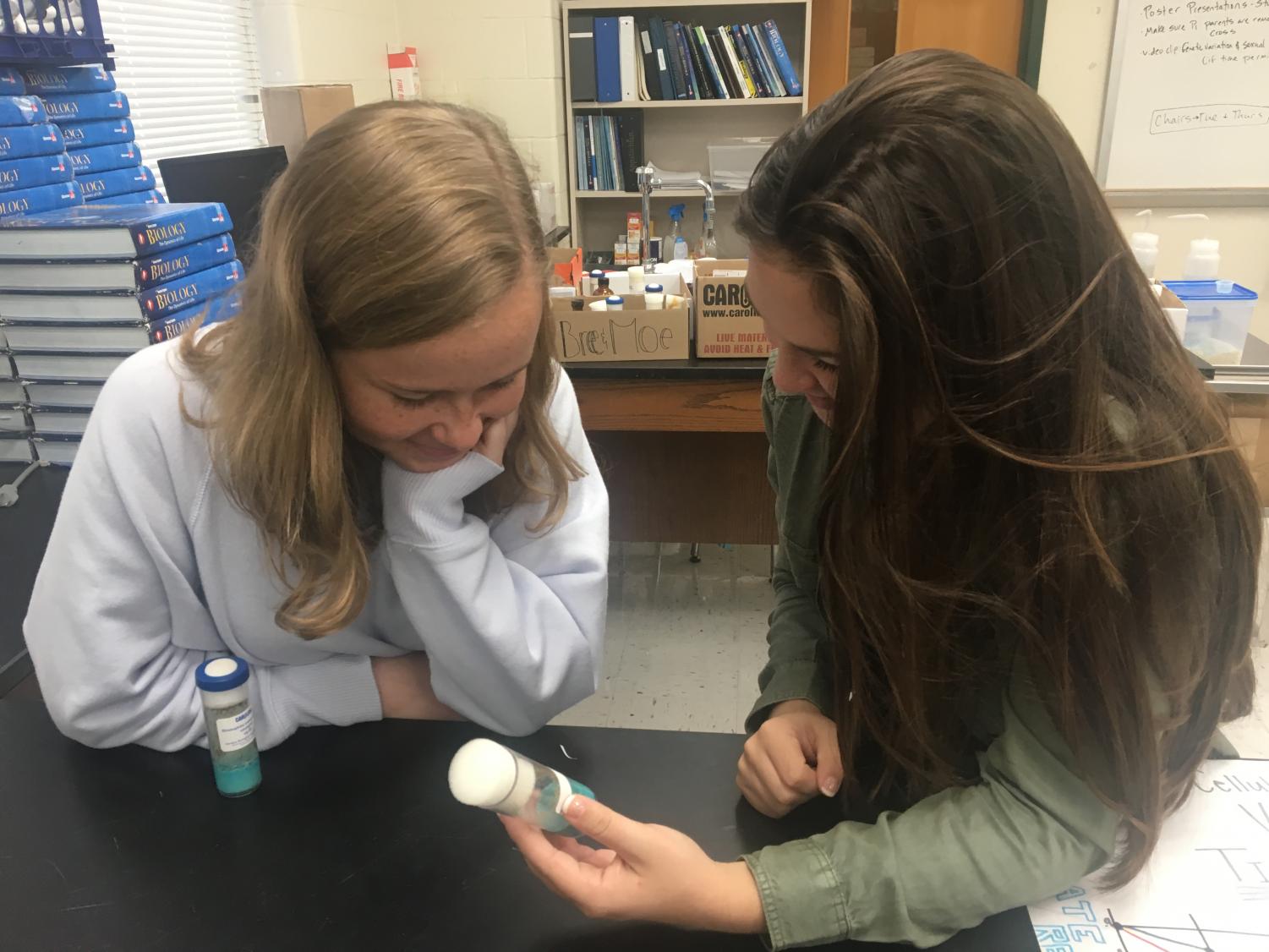 AP Biology Fruit Flies