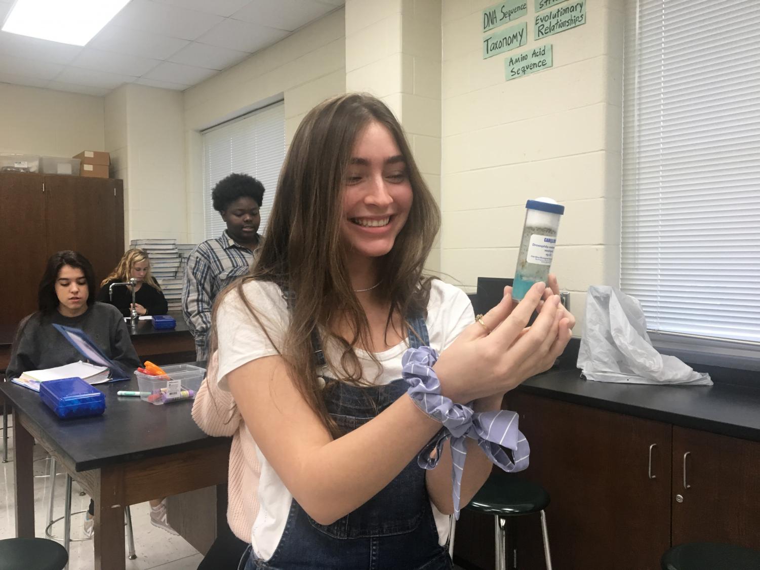 AP Biology Fruit Flies