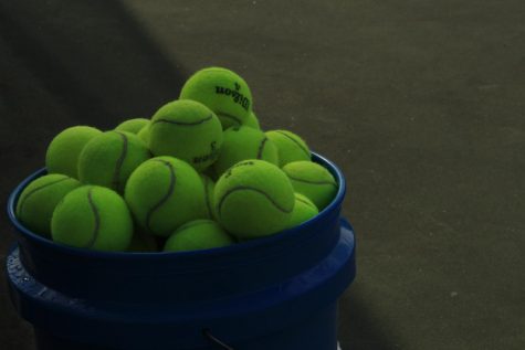 Men’s Tennis: Wildcats defeat Trojans