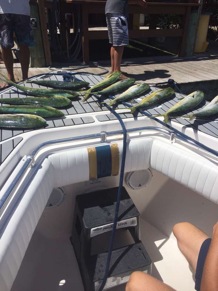 Oceanography