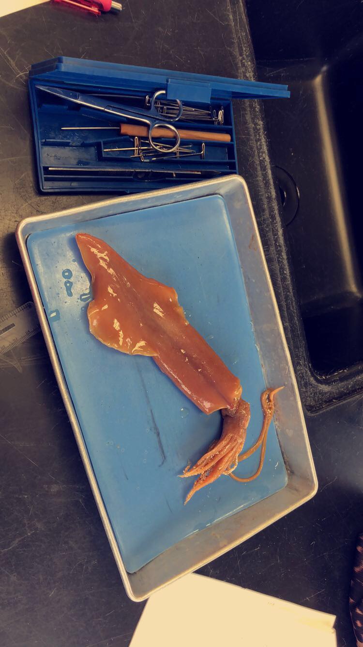 Oceanography