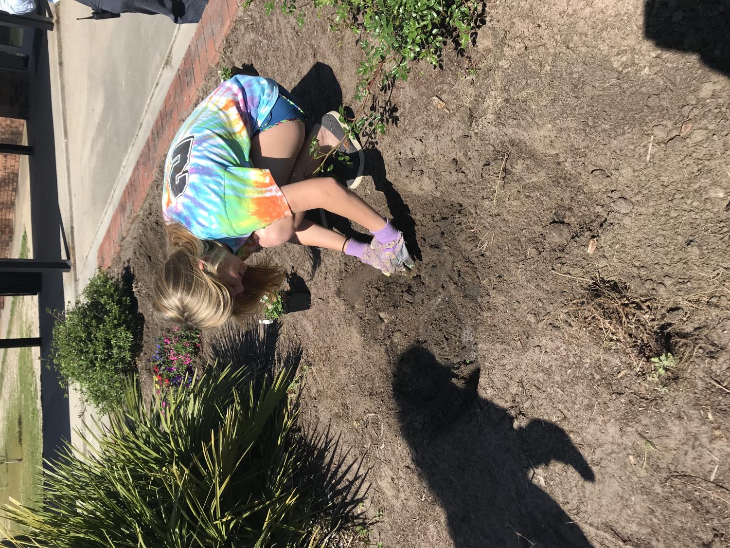Clubs Beautify Courtyard Flower Beds