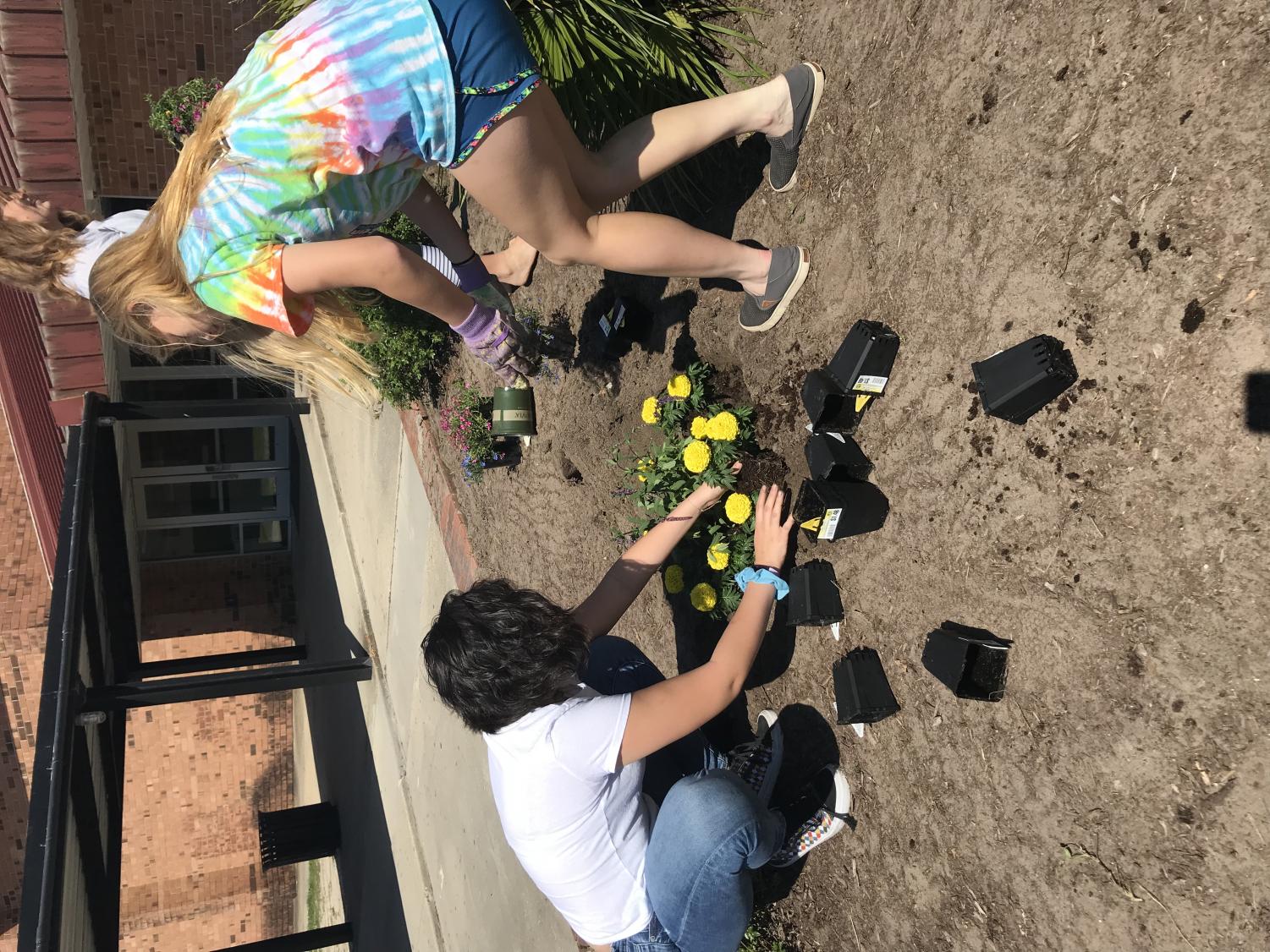 Clubs Beautify Courtyard Flower Beds