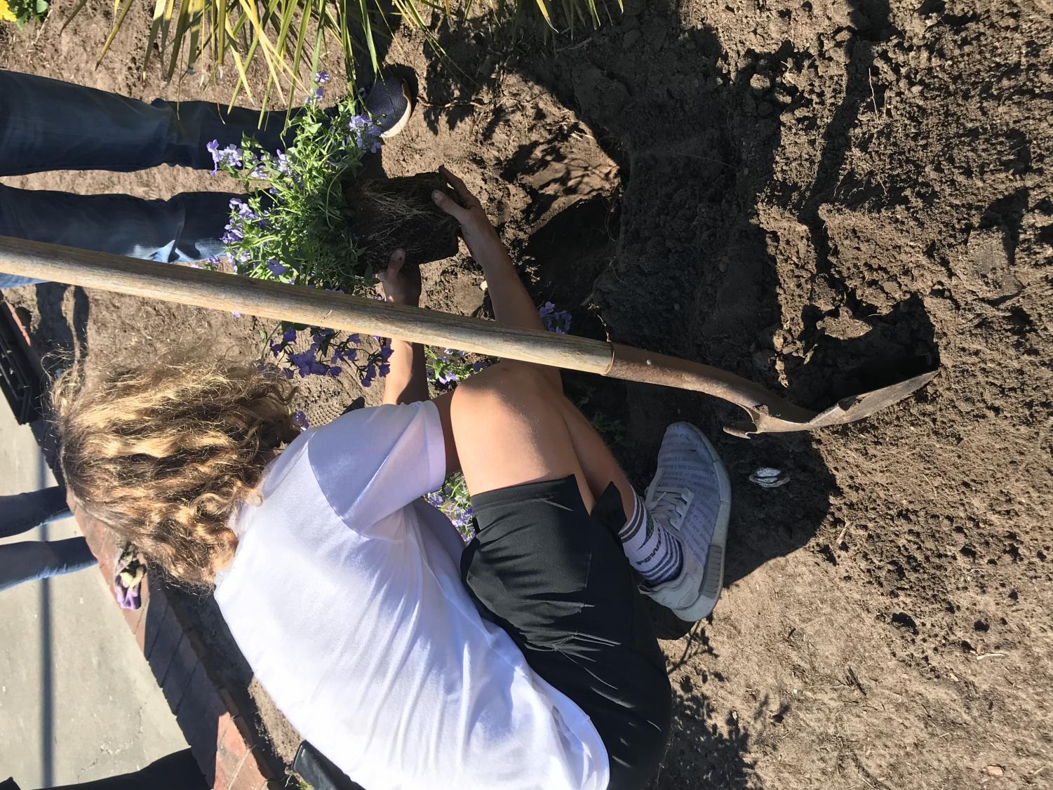 Clubs Beautify Courtyard Flower Beds