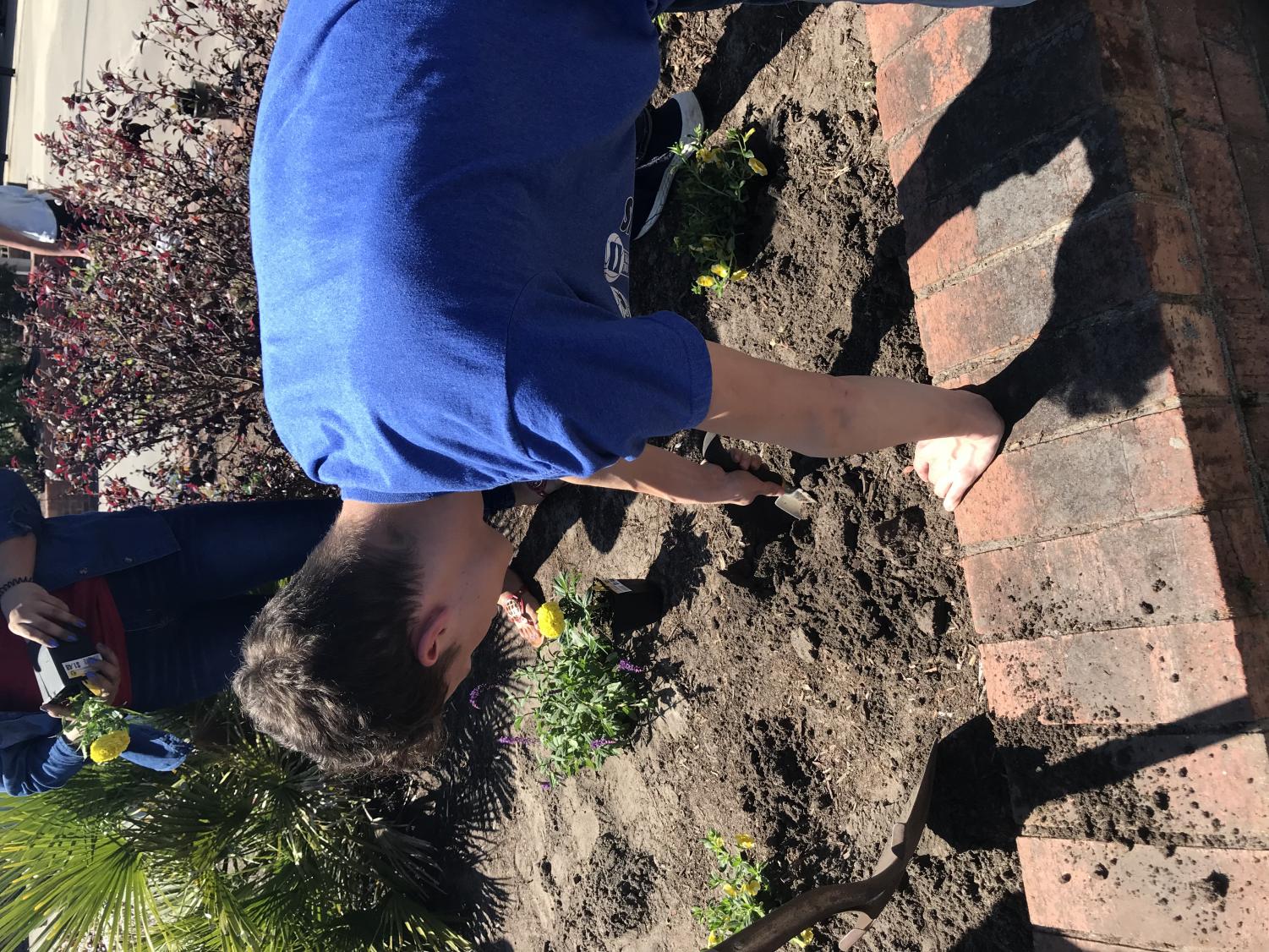 Clubs Beautify Courtyard Flower Beds