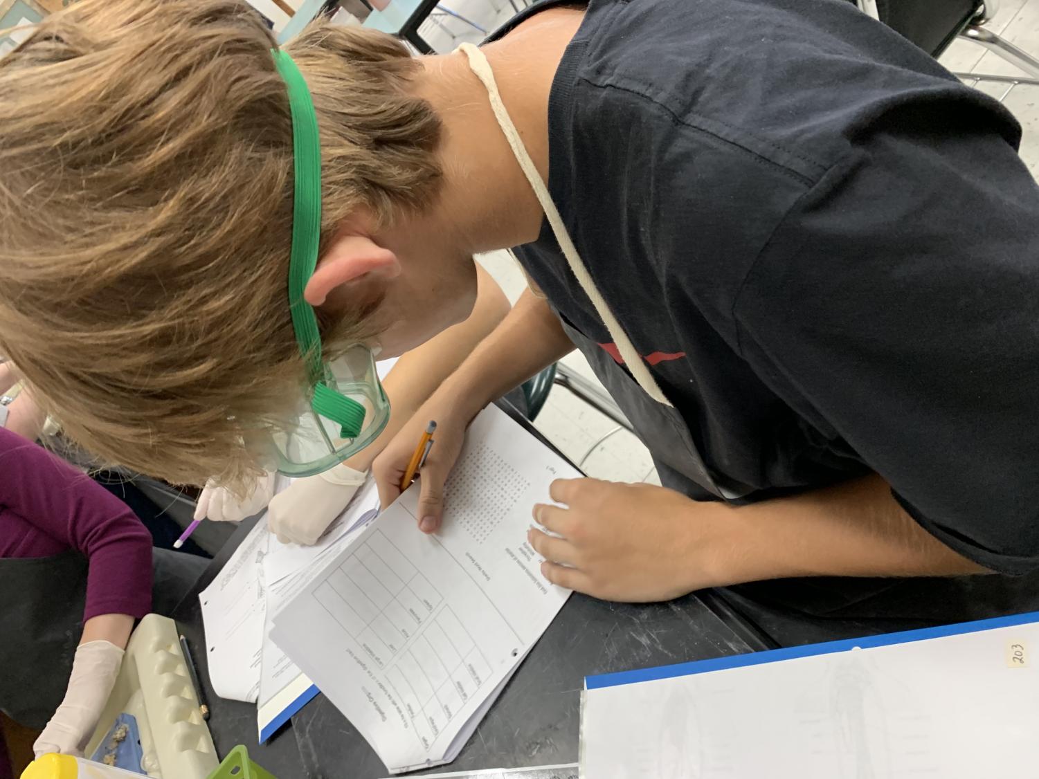Mrs. Darguzas’ Oceanography Class Dissects a Shark