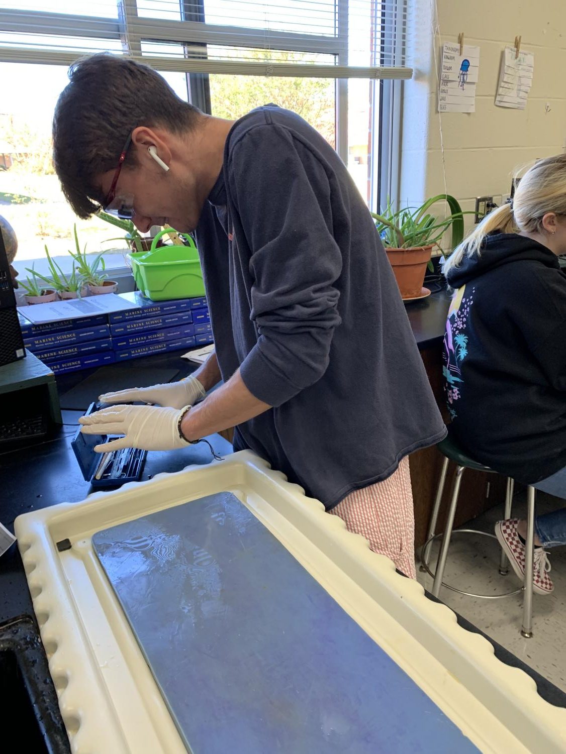 Mrs. Darguzas’ Oceanography Class Dissects a Shark