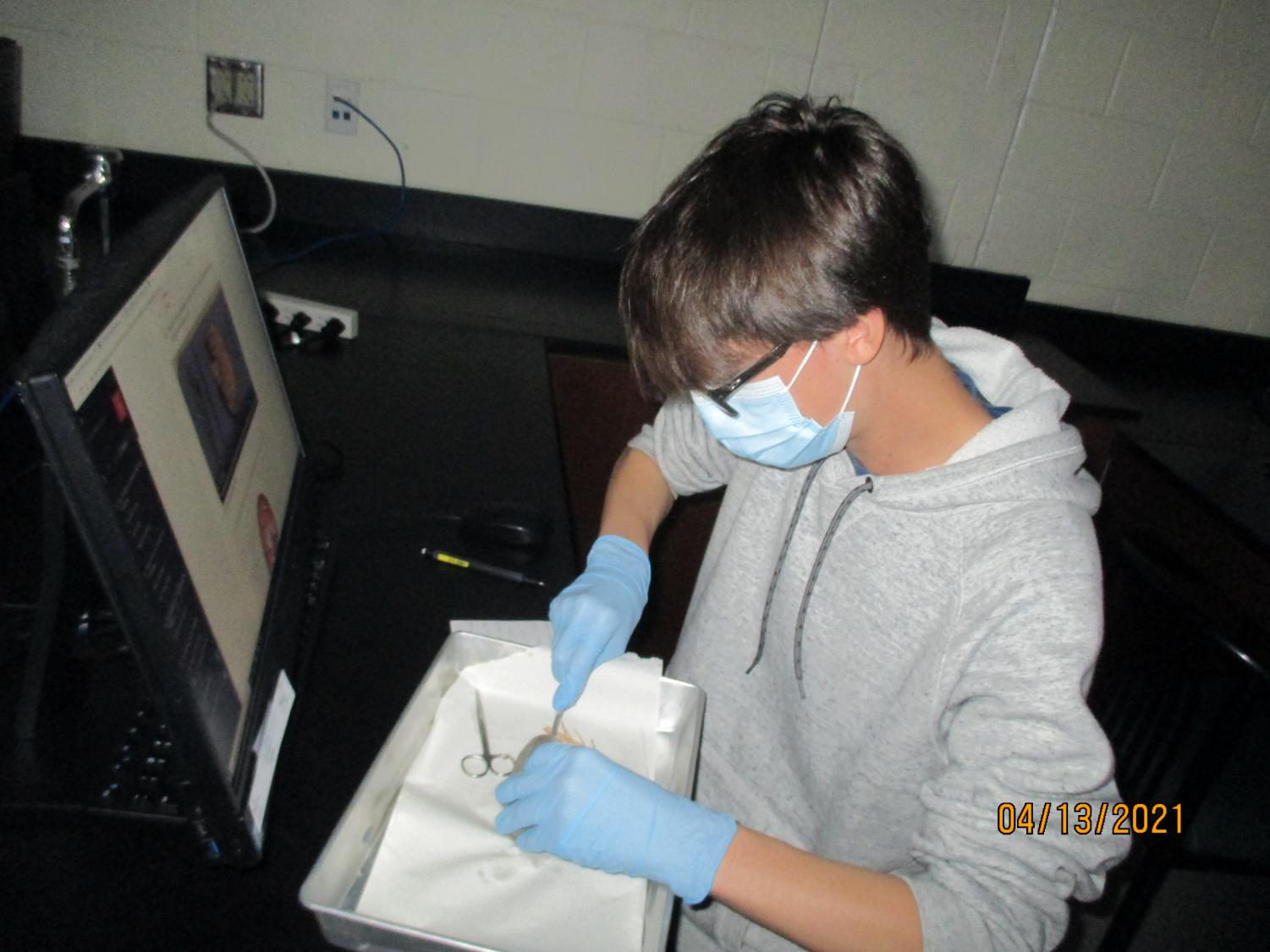 Labs Around West: Kidney Dissection