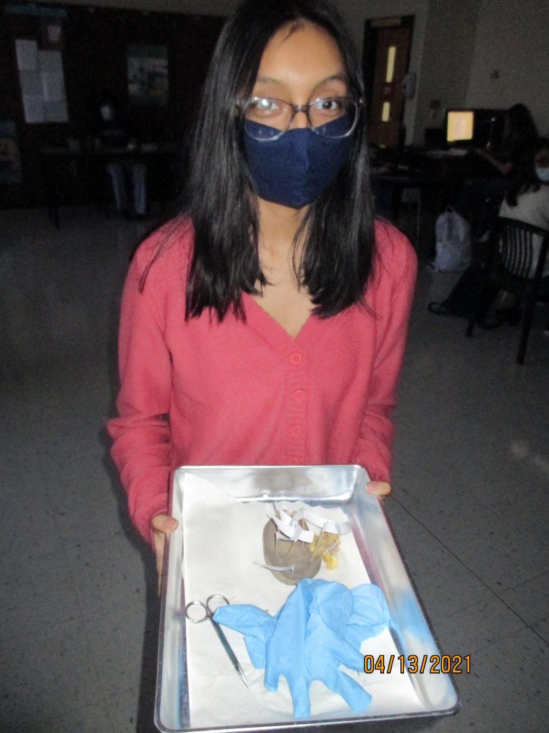 Labs Around West: Kidney Dissection