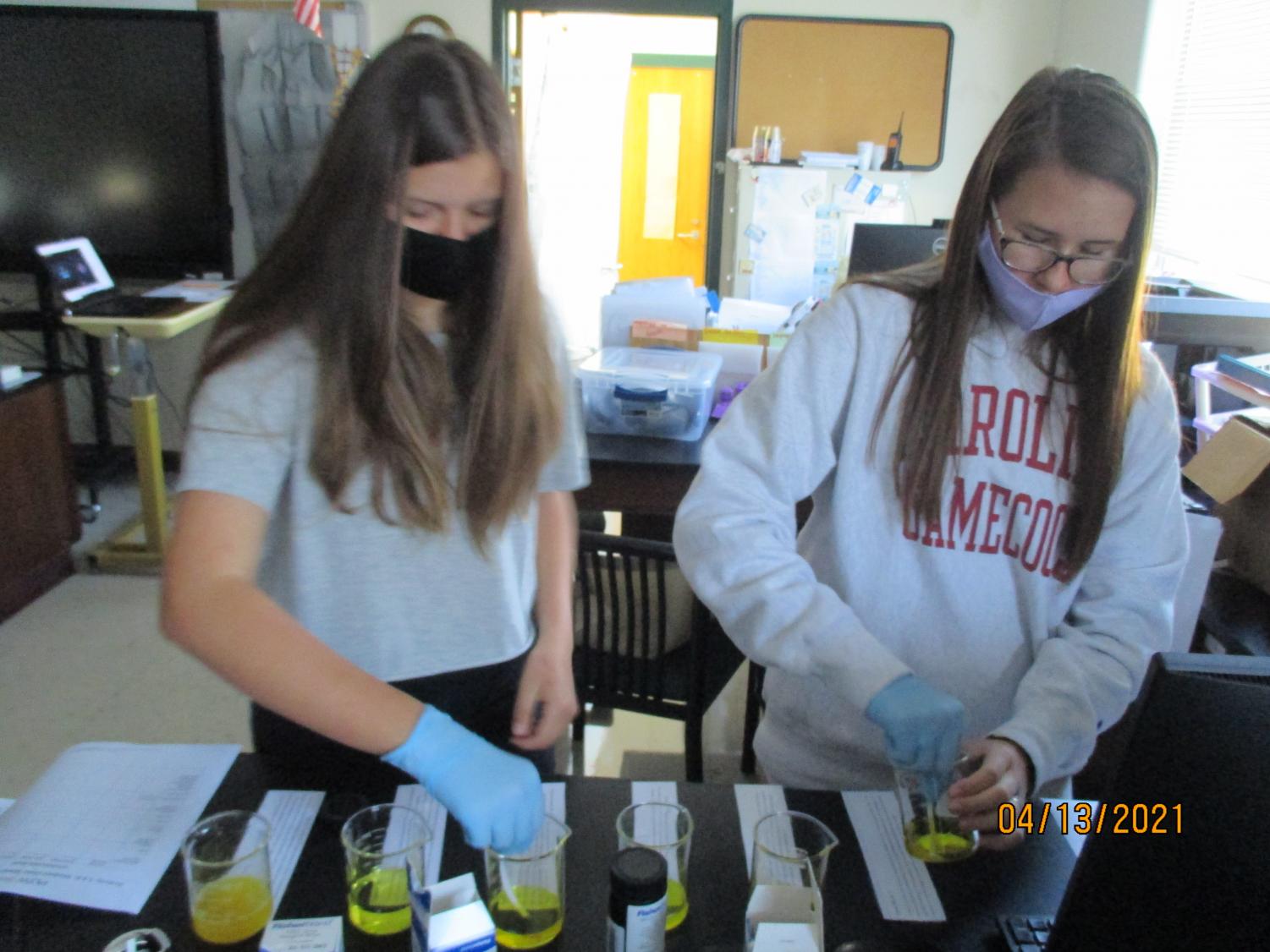 Labs Around West: Kidney Dissection