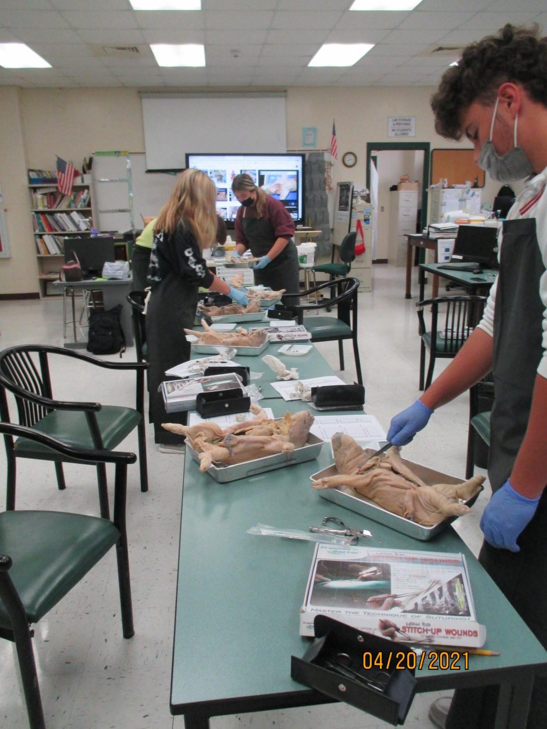Labs Around West: Fetal Pig Autopsy