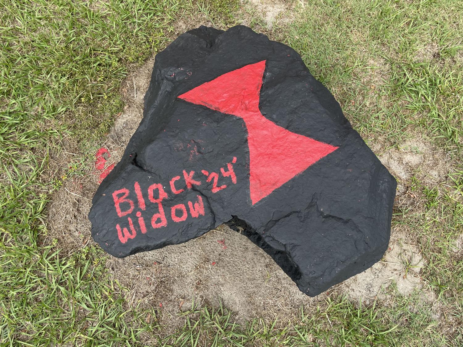 SGA Senior Parking Spot & Rock Painting