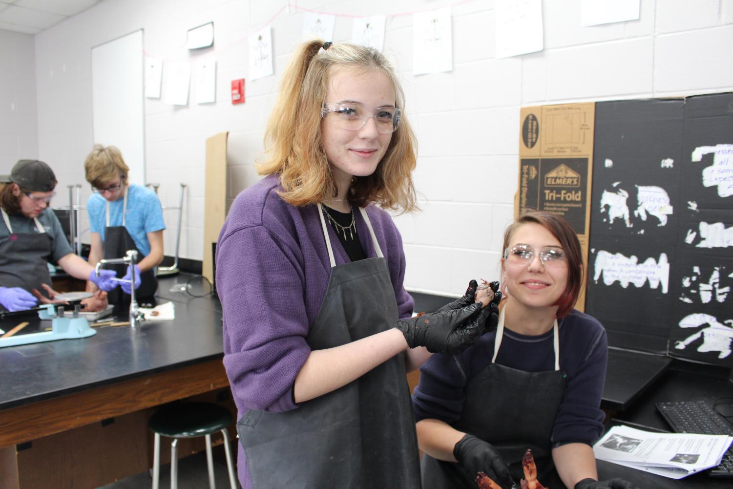 Dissection on Fetal Pigs