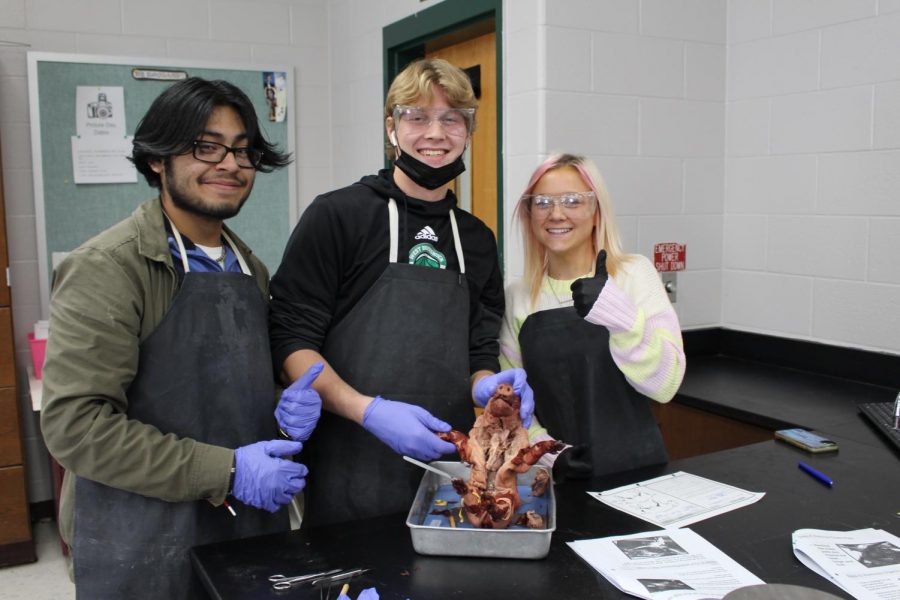 The lab group contributes to the dissection.