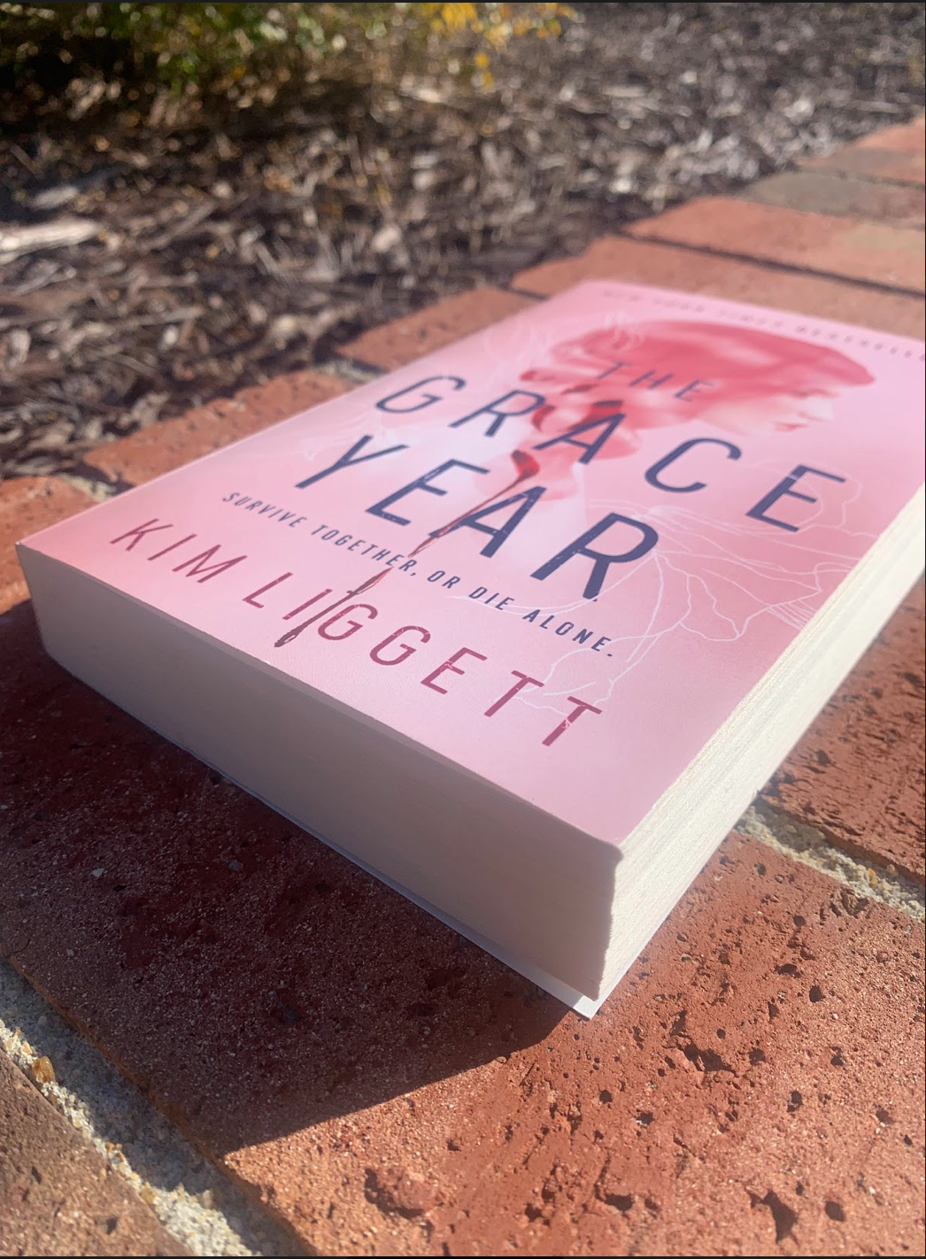 Top Five Books To Cure a Reading Slump