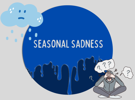Seasonal Sadness
