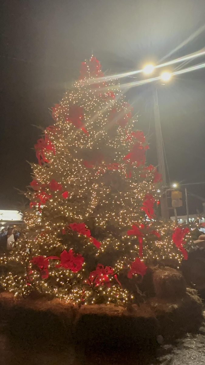 Calabash has had their annual tree lighting for 15 years now. As people gather around the tree it lights up the night.