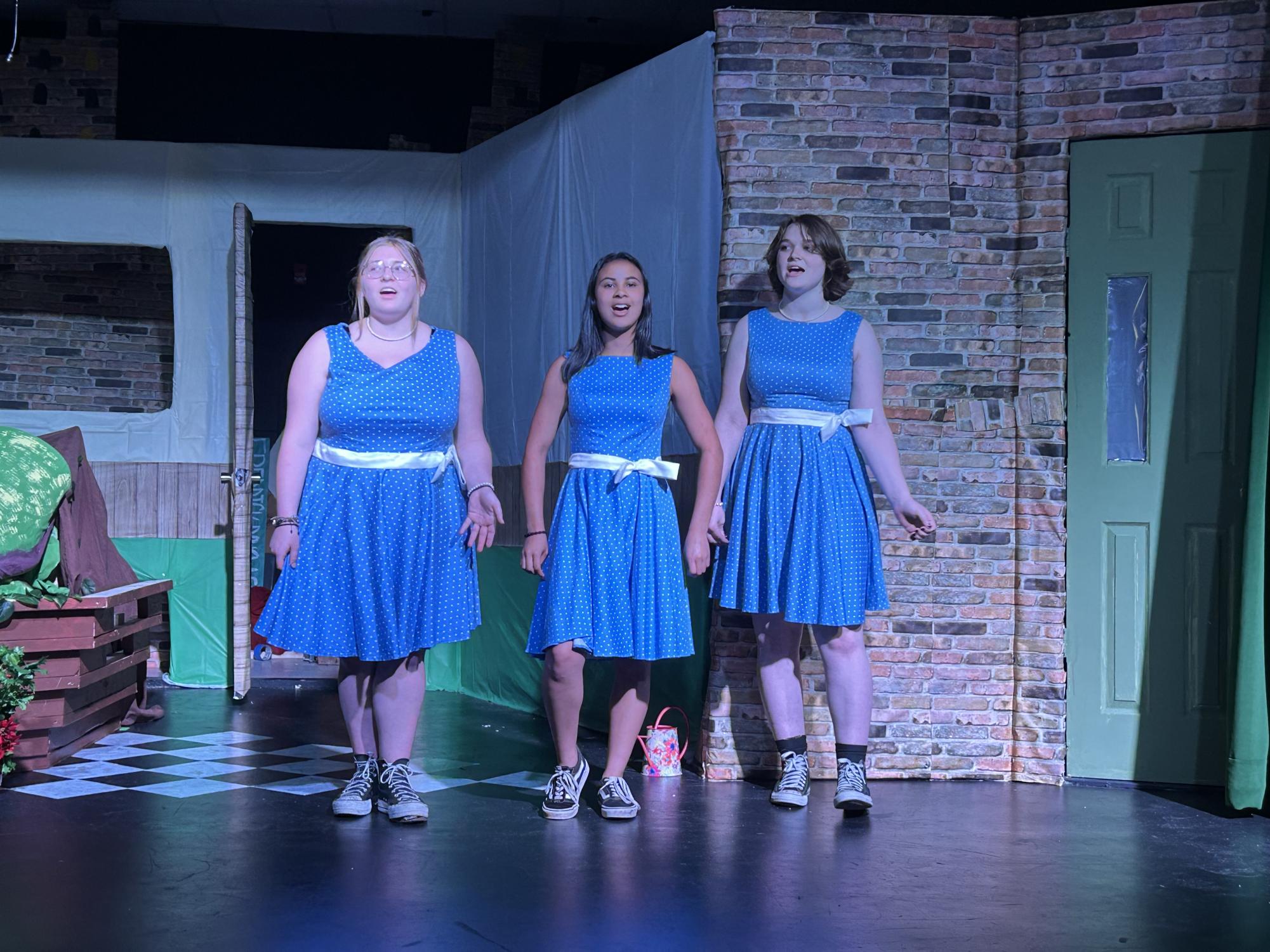 5/15 Little Shop of Horrors Dress Rehearsal