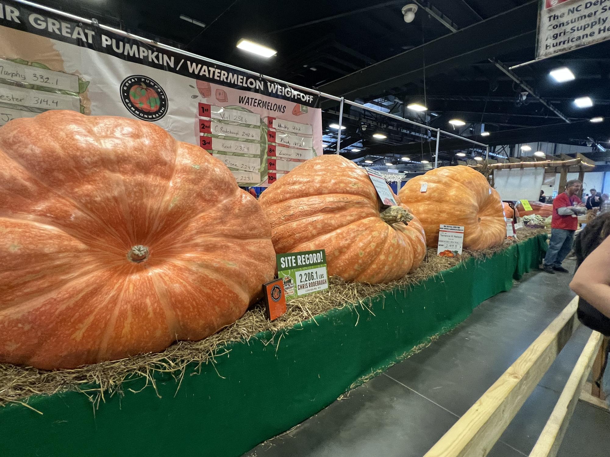 2024 NC State Fair