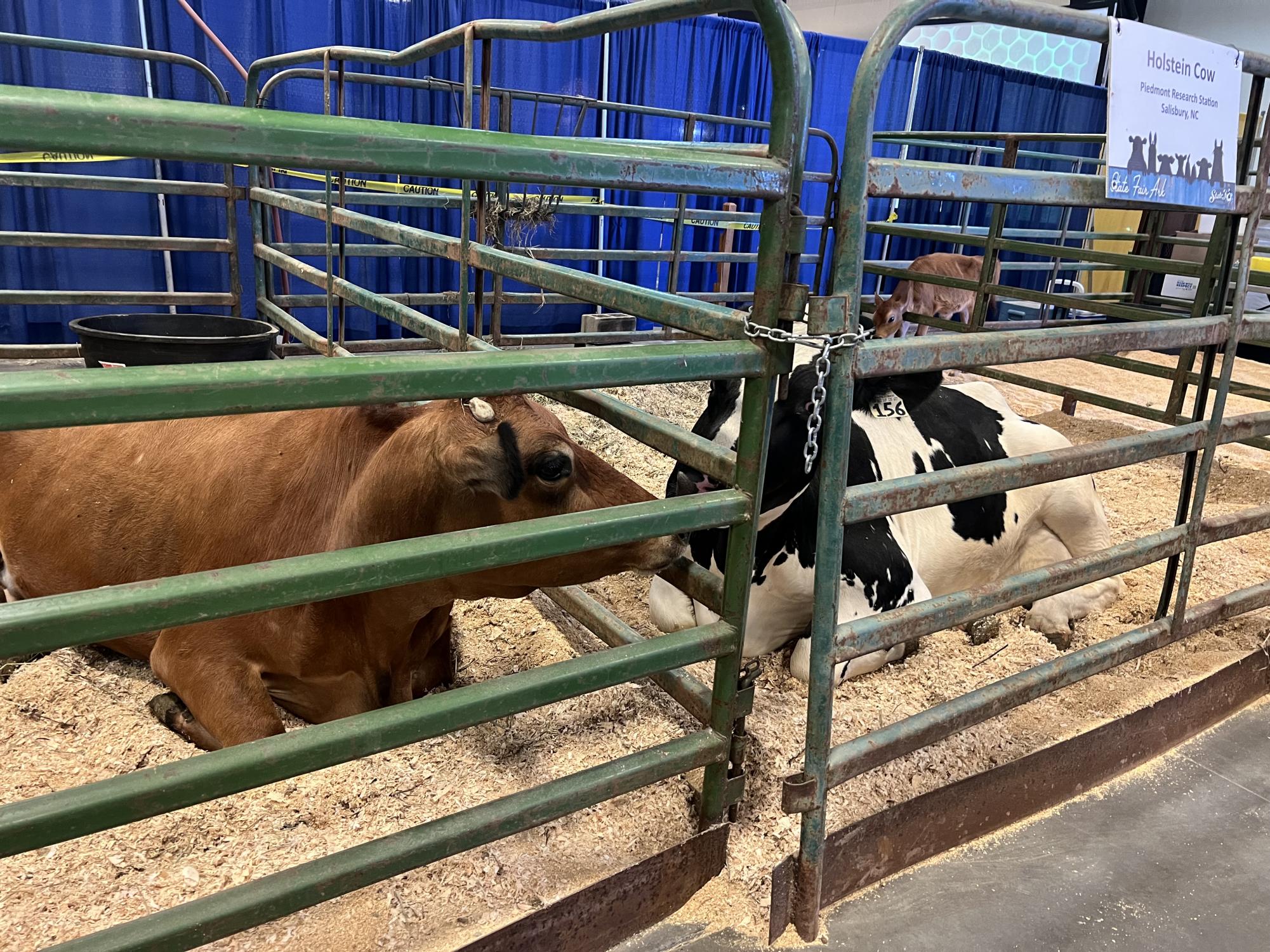 2024 NC State Fair