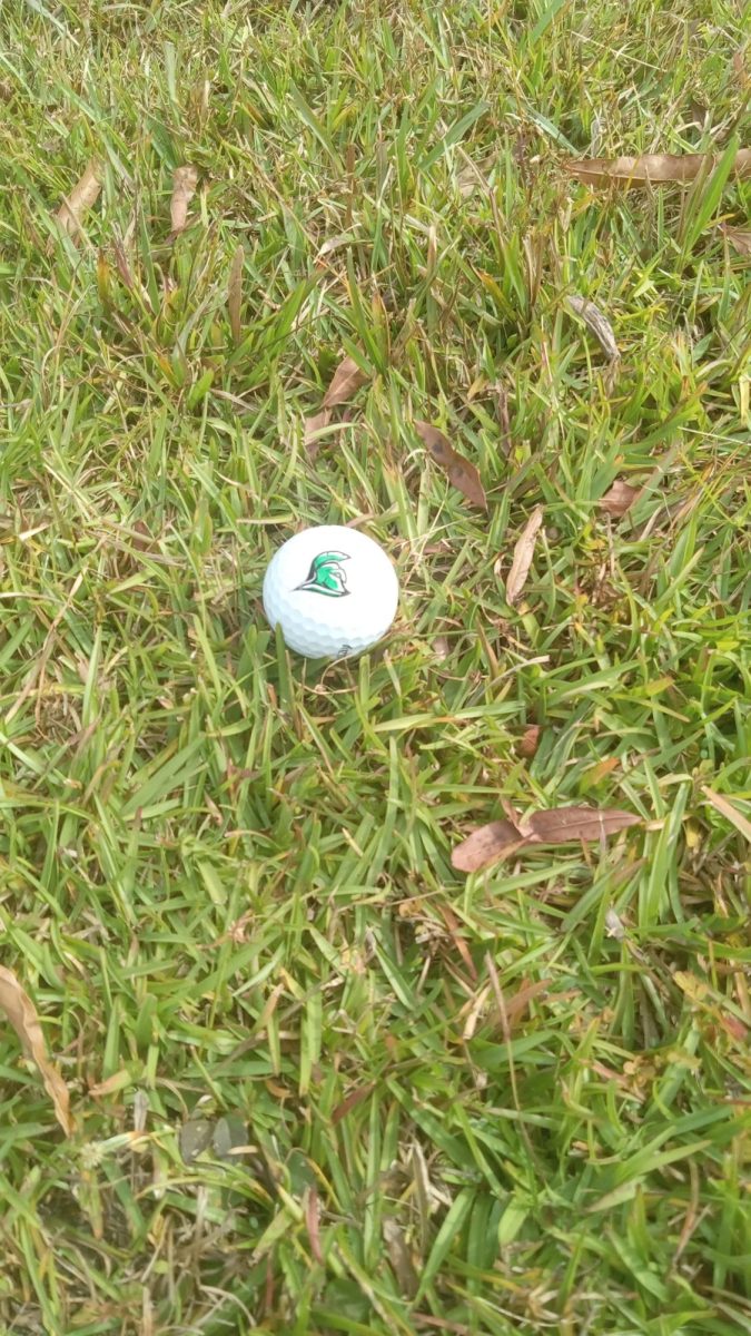 A Trojan golf ball, laying in the grass.