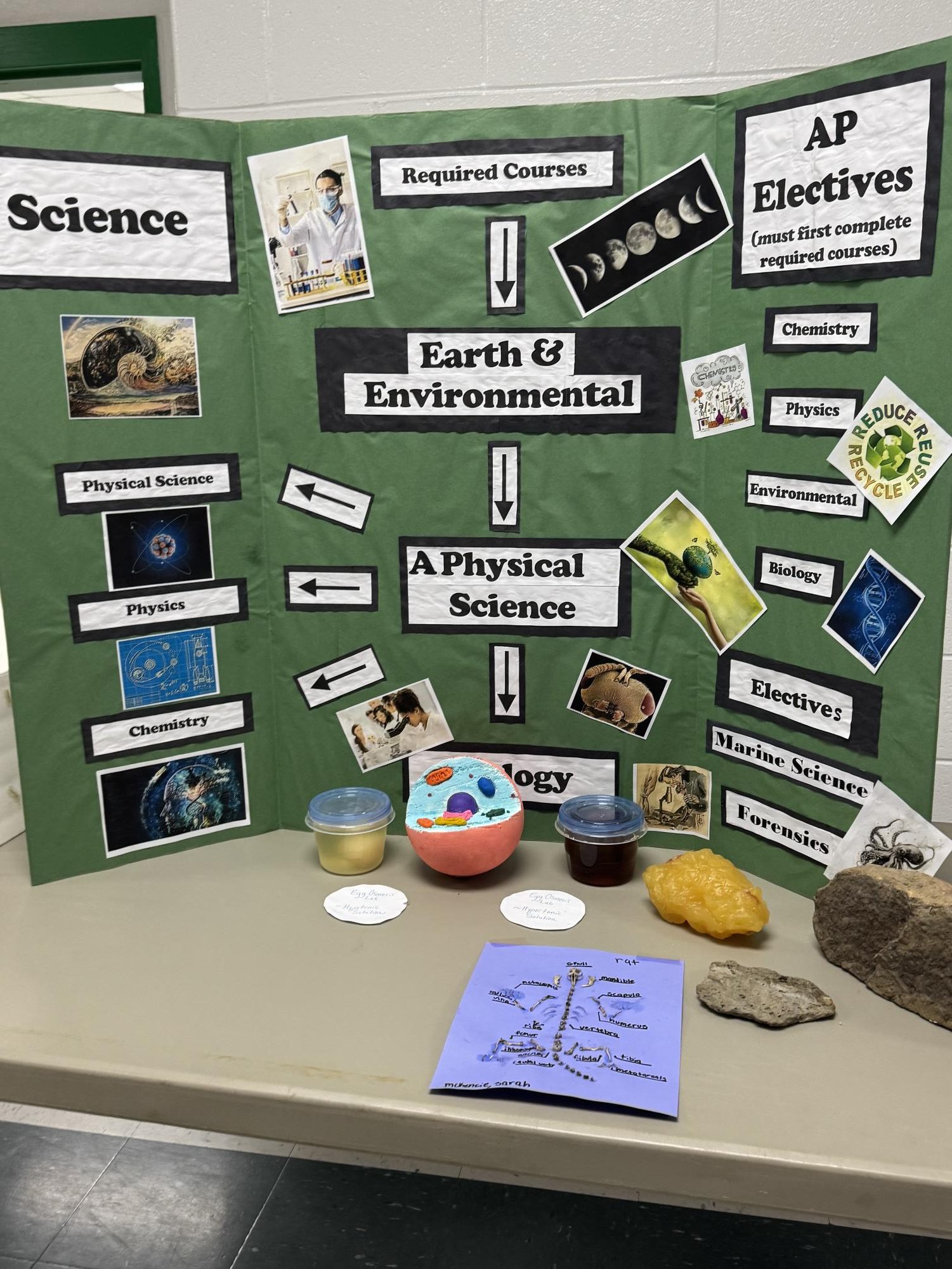 Curriculum Night at West Brunswick