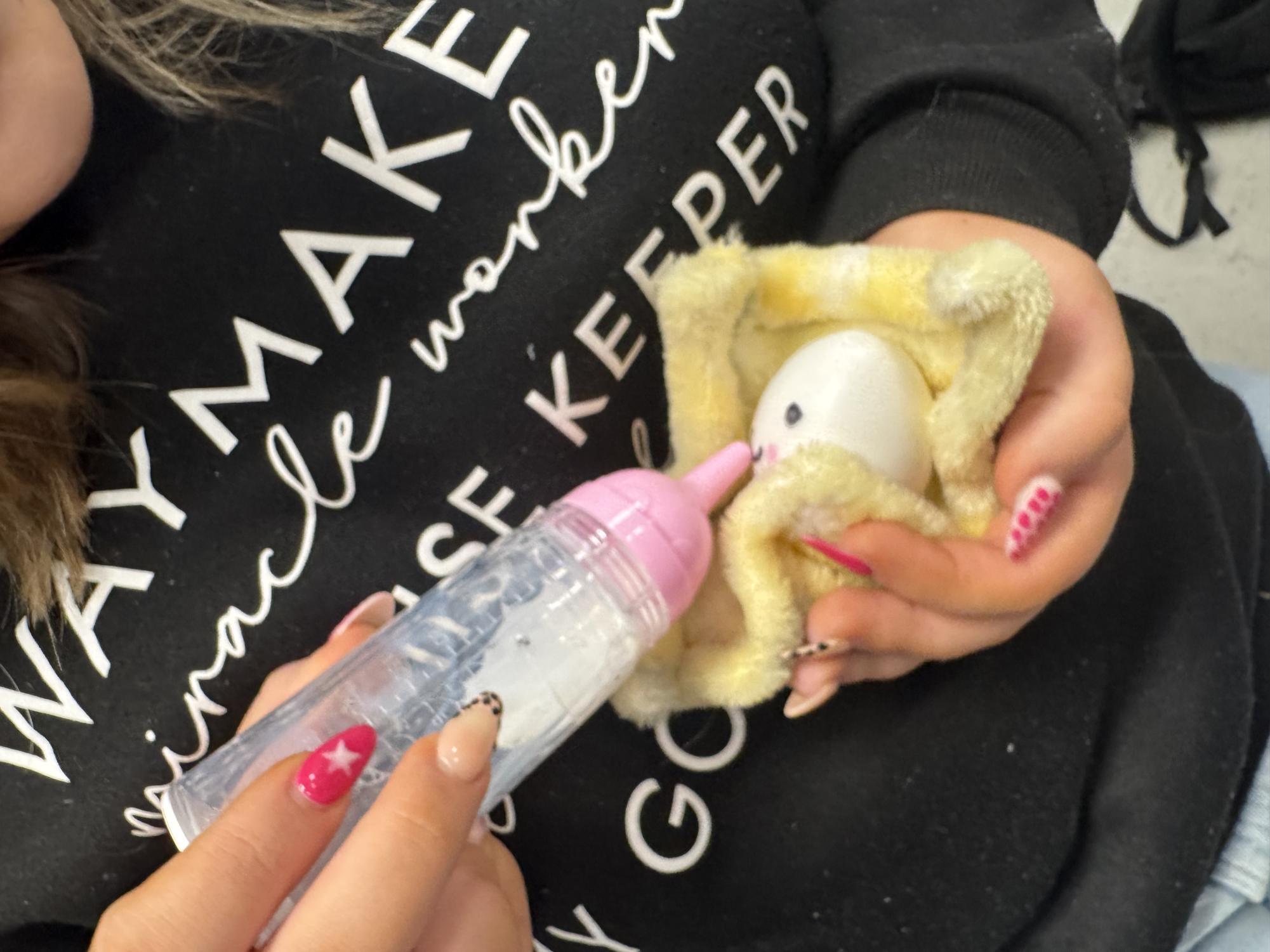 AP Psychology "Eggsperiment"