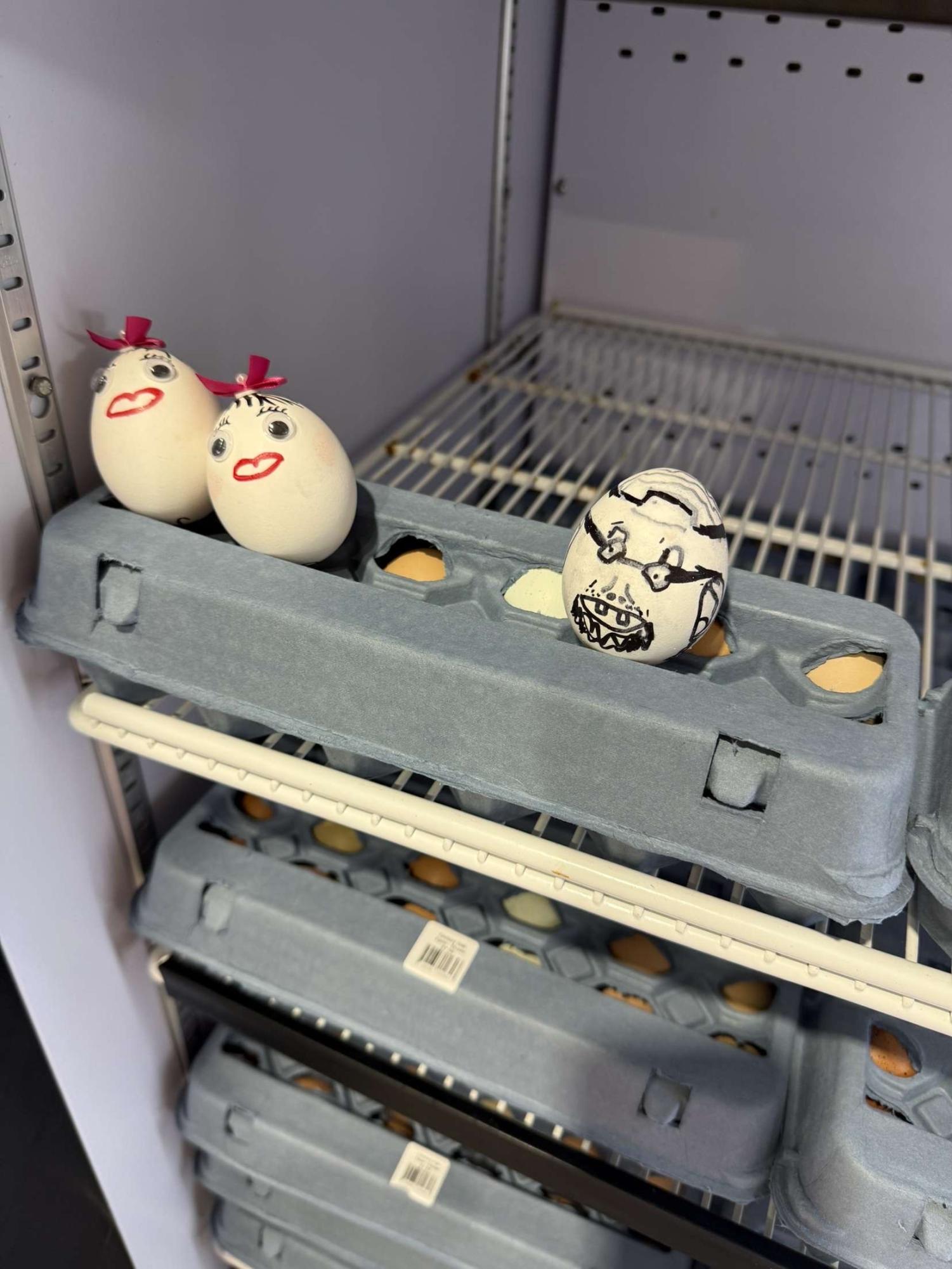 AP Psychology "Eggsperiment"