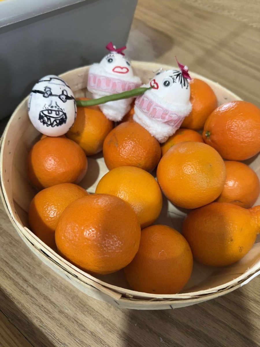 Sophomore Blayden Ludlum's eggs placed in a basket of oranges. 