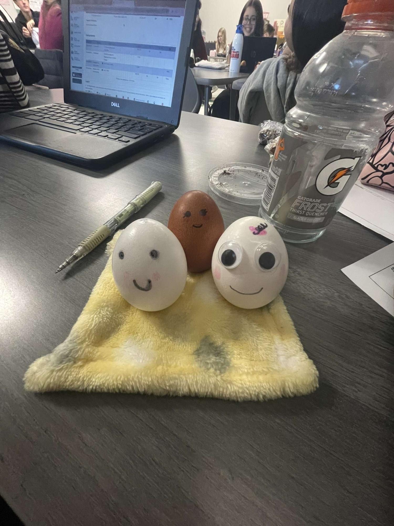 AP Psychology "Eggsperiment"