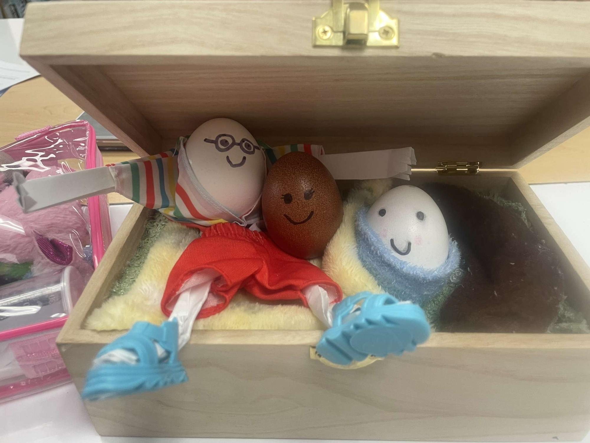 AP Psychology "Eggsperiment"