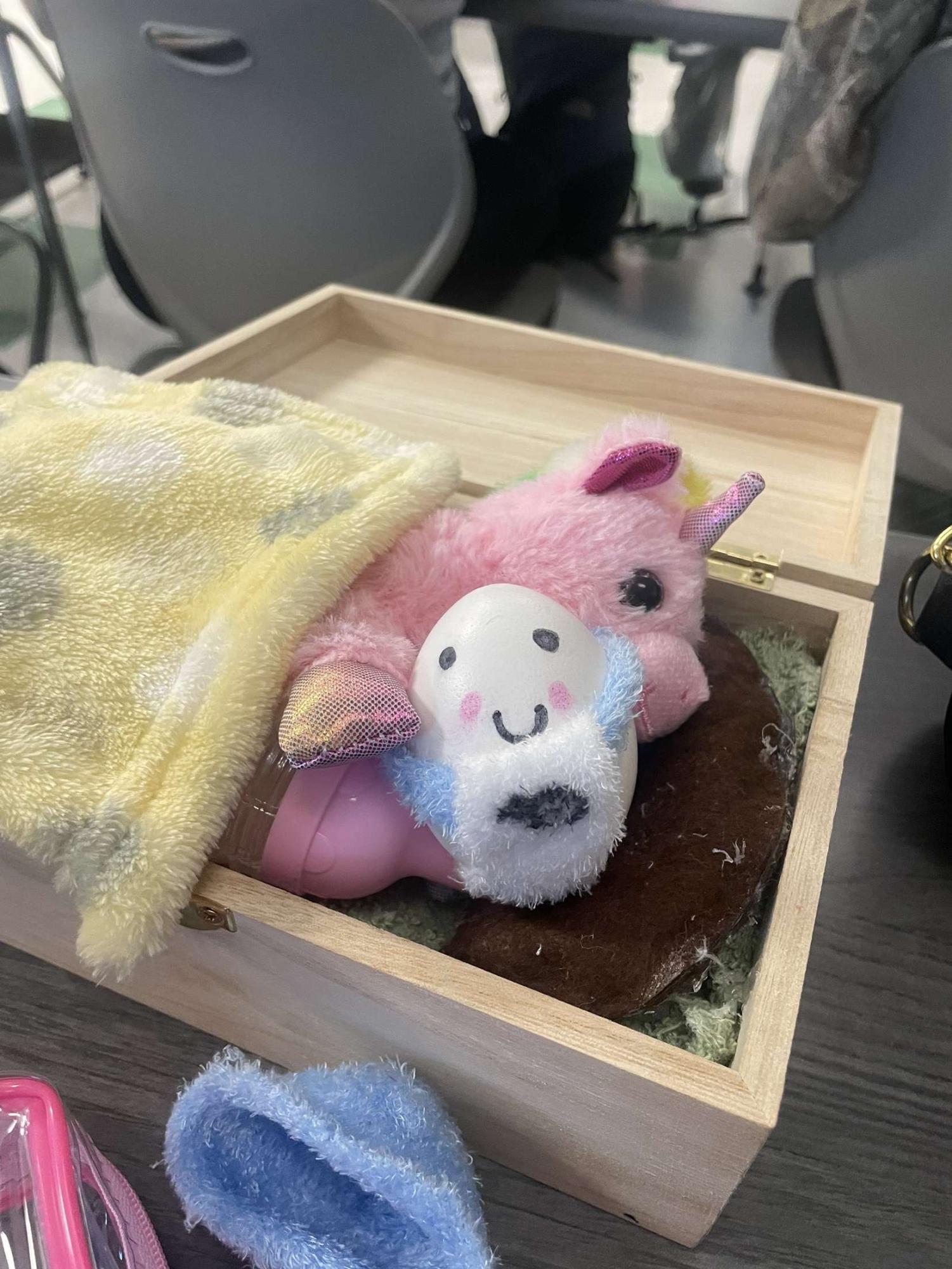 AP Psychology "Eggsperiment"