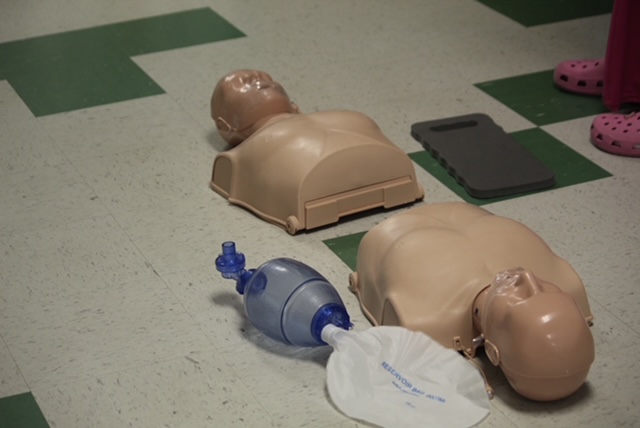 Fake body's that are used for this course.