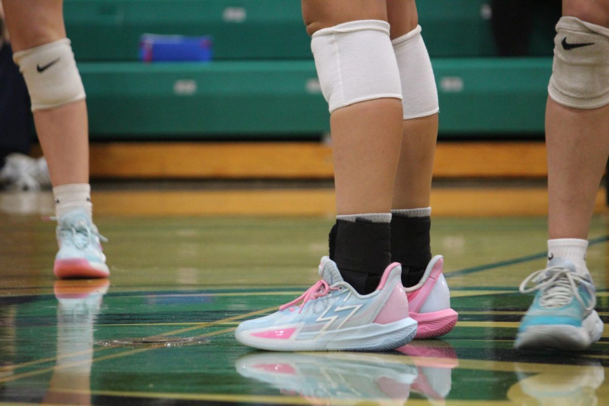 Abby Douna's, court shoes prepared at the net. 