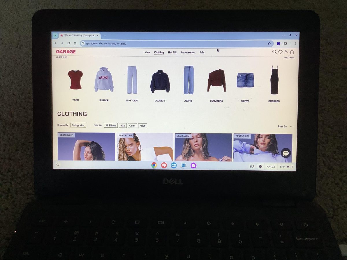 Pros and Cons: Online Shopping