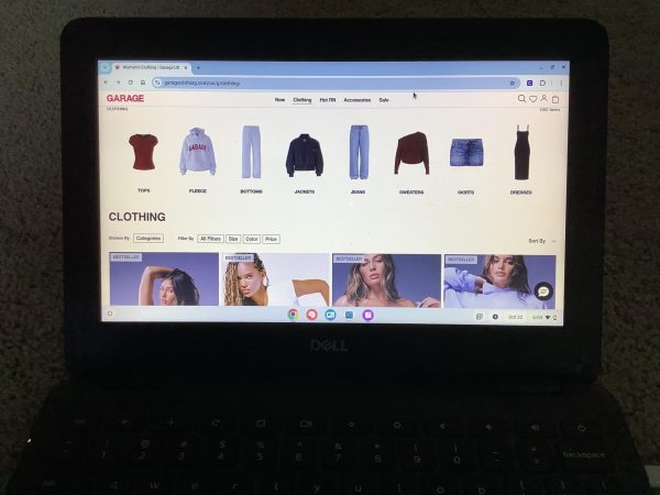 Pros and Cons: Online Shopping