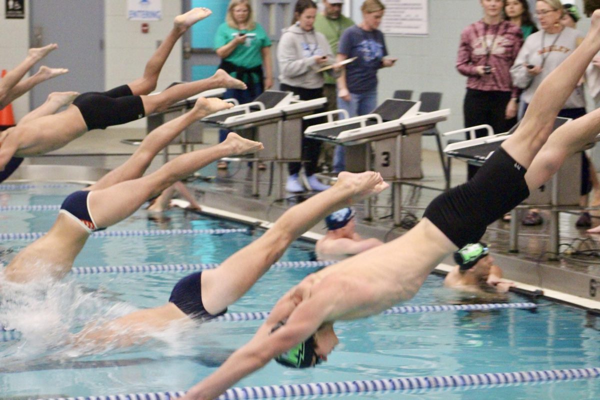 Swimmers diving